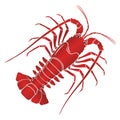 Vector boiled spiny or rock lobster Royalty Free Stock Photo