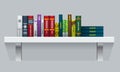 Vector Book shelf with realistic books stalks. Back side view.