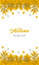Vector border background with orange, yellow and linear autumn leaves