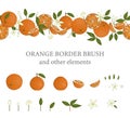 Vector  border brush with oranges and orange design elements Royalty Free Stock Photo