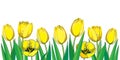 Vector border with outline yellow tulip flowers, bud and ornate green leaves isolated on white background. Horizontal composition.