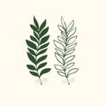 Vector botanic illustrations. Botanical clipart. Set of Green branches. Floral Herb Design elements.