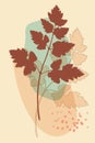 Vector botanical poster, minimalistic boho style, leaves branch, abstract shapes, earth palette colors