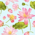 Lotus flower pattern Royalty Free Stock Photo