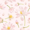 Lotus flower pattern Royalty Free Stock Photo