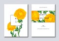 Vector botanical template with realistic yellow buttercup