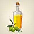 Vector bottle of olive oil with a branch of green olives