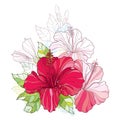 Vector bouquet with Chinese Hibiscus or Hibiscus rosa-sinensis in red and pastel. Flower, bud and leaves .