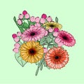 Vector bouquet with colourful gerbera flowers Royalty Free Stock Photo