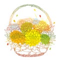 Vector bouquet of Dahlia or Dalia flower and ornate leaf in wicker basket in pastel orange and yellow isolated on white.