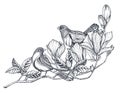 Vector bouquet of doodle hand drawn magnolia, sakura flowers and birds. Beautiful romantic elegant floral composition