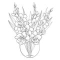 Vector bouquet with Gladiolus or sword lily in vase. Flower bud and leaf in black isolated on white background. Floral elements.