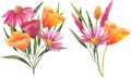 Vector bouquet with orange Watercolor california poppies, dried flowers and cosmos flowers isolated on white background