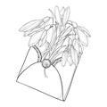 Vector bouquet of ornate outline spring Snowdrop or Galanthus flowers and leaf in open craft envelope in black isolated on white.