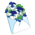 Vector bouquet with outline blue and white Pansy or Heartsease or Viola tricolor flower and leaf in open craft envelope isolated.