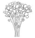 Vector bouquet of outline California poppy flower or California sunlight or Eschscholzia, leaf and bud in black isolated on white.