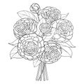 Vector bouquet with outline Camellia flower bunch, bud and leaf in black isolated on white background. Ornate Camellia plant.