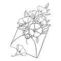Vector bouquet with outline Convolvulus or Bindweed, ornate leaf and bud in open craft envelope in black isolated on white.