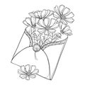 Vector bouquet with outline Cosmos or Cosmea flower bunch, ornate leaf and bud in open craft envelope isolated on white.