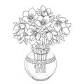 Vector bouquet with outline Hellebore or Helleborus or Winter rose, bud and leaf in round vase in black isolated on white. Royalty Free Stock Photo