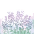 Vector bouquet with outline Lavender flower bunch, bud and leaves on the textured pastel violet background.