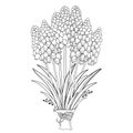 Vector bouquet with outline muscari or grape hyacinth flowers and leaves in black isolated on white background.