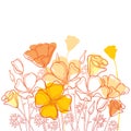 Vector bouquet with outline orange California poppy flower or California sunlight or Eschscholzia, leaf and bud isolated on white.