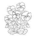 Vector bouquet with outline Pansy or Heartsease or Viola tricolor flower and leaf in black isolated on white background.