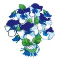 Vector bouquet with outline Pansy or Heartsease or Viola tricolor flower in pastel white and blue and ornate green leaf isolated. Royalty Free Stock Photo