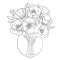 Vector bouquet with outline Poppy flower in the round transparent vase isolated on white. Ornate floral in contour style.