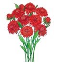 Vector bouquet with outline red Aster flower, ornate green foliage and bud isolated on white background. Contour blossom red Aster Royalty Free Stock Photo