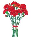 Vector bouquet with outline red Carnation or Clove flower, bud and green leaf isolated on white background. Ornate carnation. Royalty Free Stock Photo