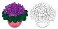 Vector bouquet with outline Saintpaulia or African violet flower in round pot. Purple flowers and foliage isolated on white.