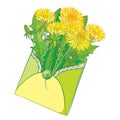 Vector bouquet with outline yellow Dandelion flower, bud and green leaves in open craft envelope isolated on white background.