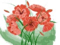 Vector bouquet of red poppies. Made with watercolor brushes. Spring background Royalty Free Stock Photo