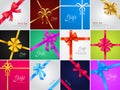 Vector Bow. Gift. Collection of Various Ribbons