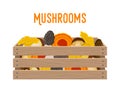 Vector box with mushrooms, grocery basket with garden products