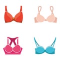Vector bra set. Stylish lingerie, women colorful underwear and nightclothes isolated on white.