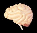 Vector brain icon Royalty Free Stock Photo