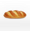 Vector bread (loaf) on white background