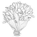 Vector bride bouquet with outline Freesia flower, bud and ornate leaf in black isolated on white background. Summer blossom.