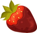 vector bright illustration of chocolate covered strawberries, dark, milk chocolate Royalty Free Stock Photo