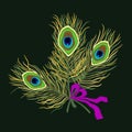 Vector bright illustration of peacock feathers on dark background.