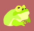 Vector bright illustration of toad