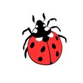 Vector bright red ladybug in flat style. Cute insect, isolated. Top view. Clipart, design element on theme of nature Royalty Free Stock Photo