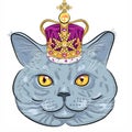 Vector British cat in gold crown Royalty Free Stock Photo