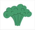 Vector broccoli on white background. Healthy food icon. Vegetable illustration. Royalty Free Stock Photo