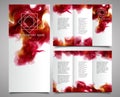 Vector Brochure Design Template.