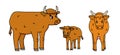 Vector brown doodle outline father bull ox, mother domestic cow and calf. Cute cartoon friendly farm family animals isolated on Royalty Free Stock Photo