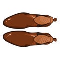 Vector Brown Leather Shoes. Classic Chelsea Boots